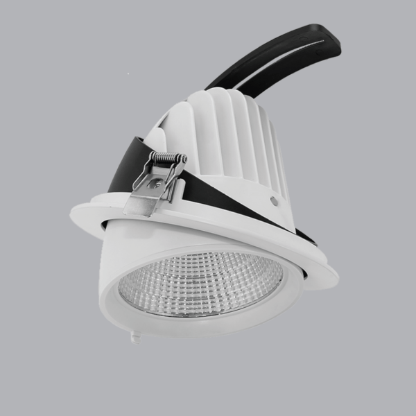 Đèn Downlight Điều Chỉnh MPE 20W 3