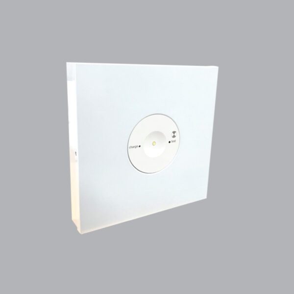 Led Downlight âm trần Emergency EM-NT 3