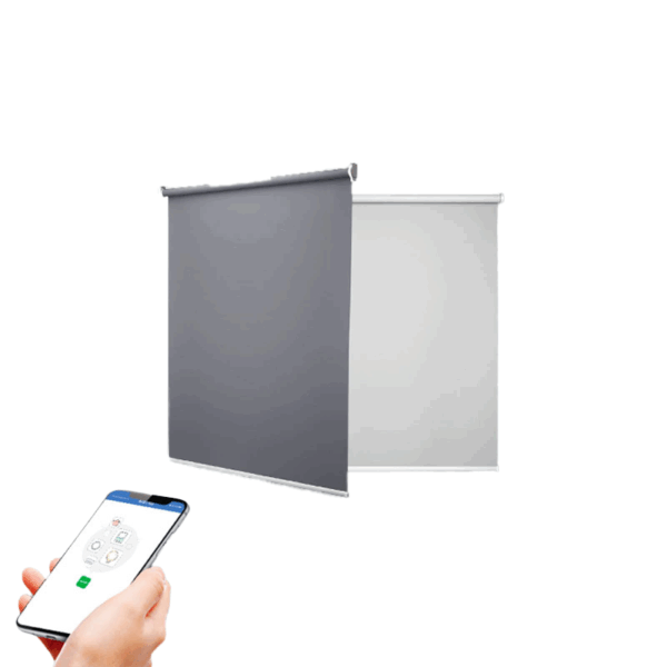 Màn chiếu Wifi mã RB1/SC 1