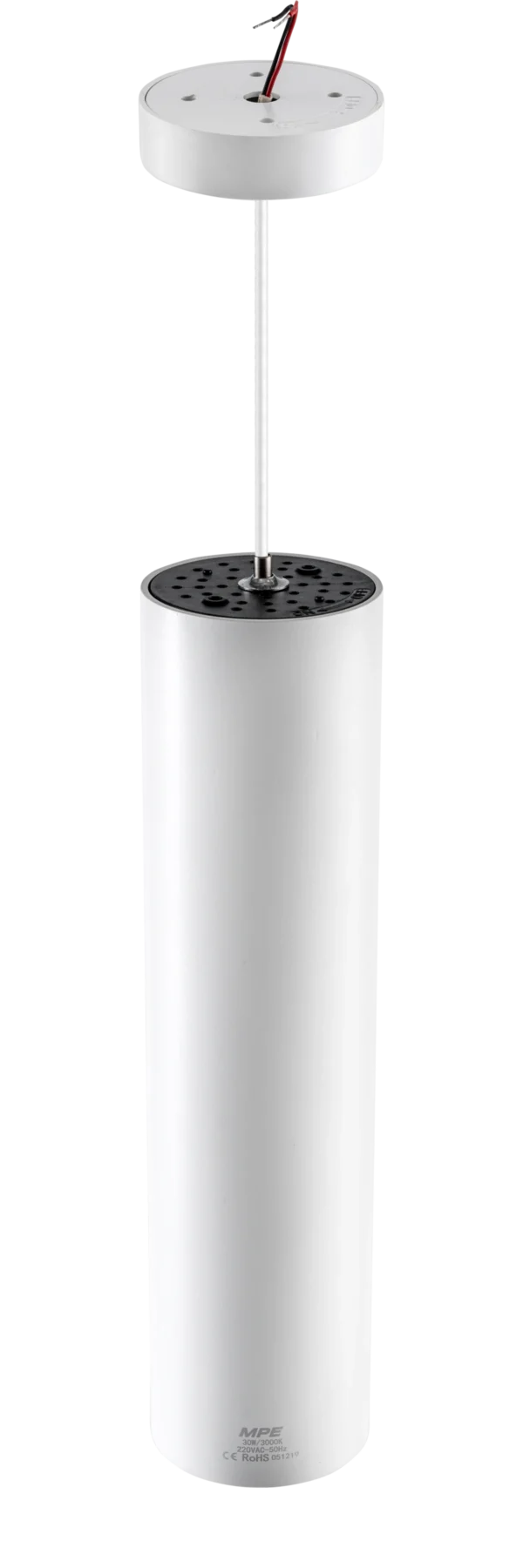 LED chiếu điểm dạng treo 30W ánh sáng vàng DPL-30V 1
