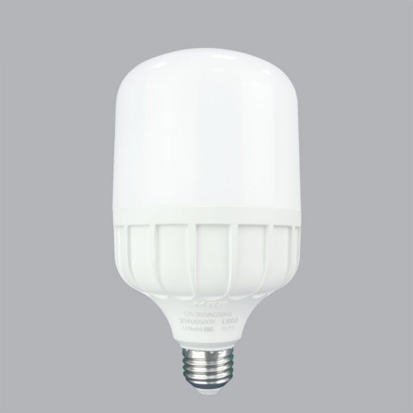 LED Bulb chống ẩm 30W ánh sáng trắng LBD3-30T 2