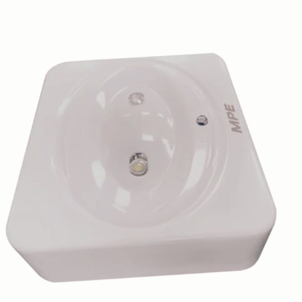 LED downlight ốp trần khẩn cấp 3W mã EM-NT 2