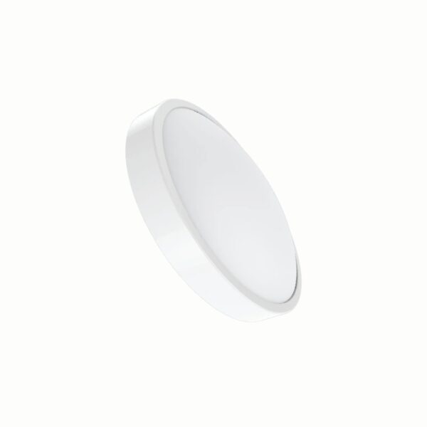 LED ốp nổi 22W ánh sáng trung tính CL-22N 1