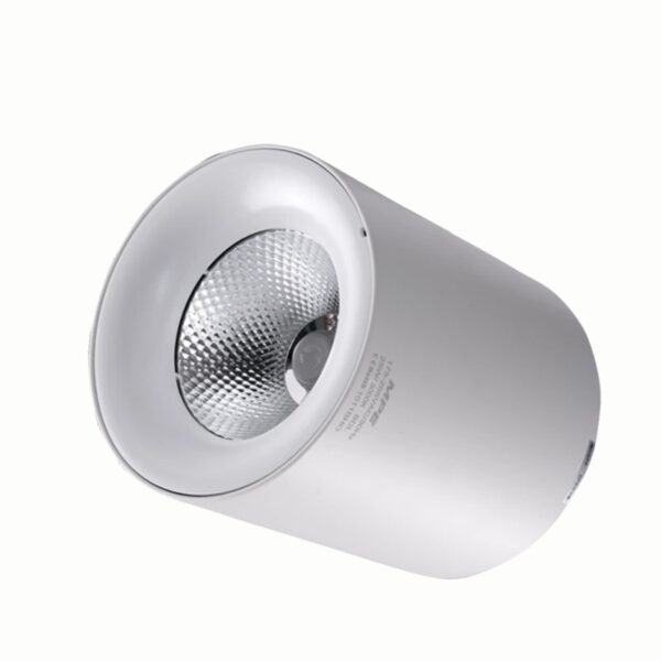 LED chiếu điểm gắn nổi 25W ánh sáng trắng SDL-25T 3