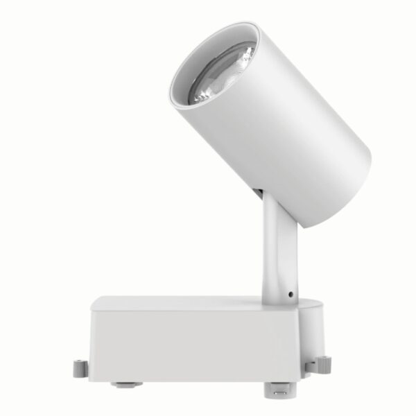 LED chiếu điểm gắn ray màu trắng 8W ánh sáng trắng TSL-8T 2